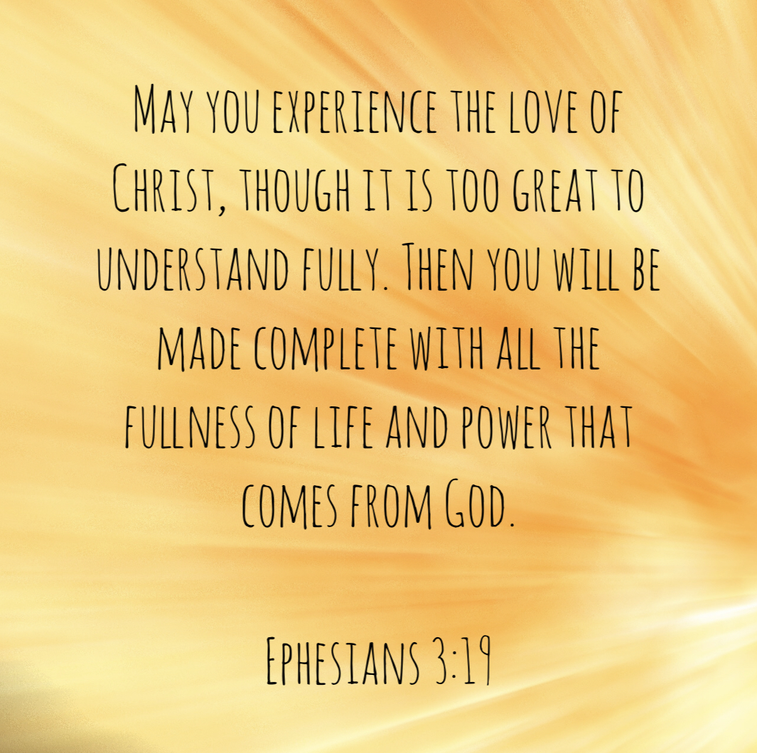 49072816-E1BA-4393-8406-93894BDA5919