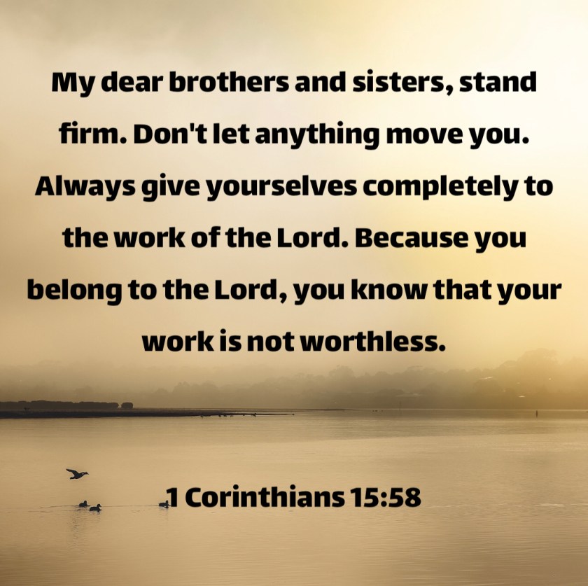 5785FEFE-3599-436F-9ECD-0F1BA82783ED