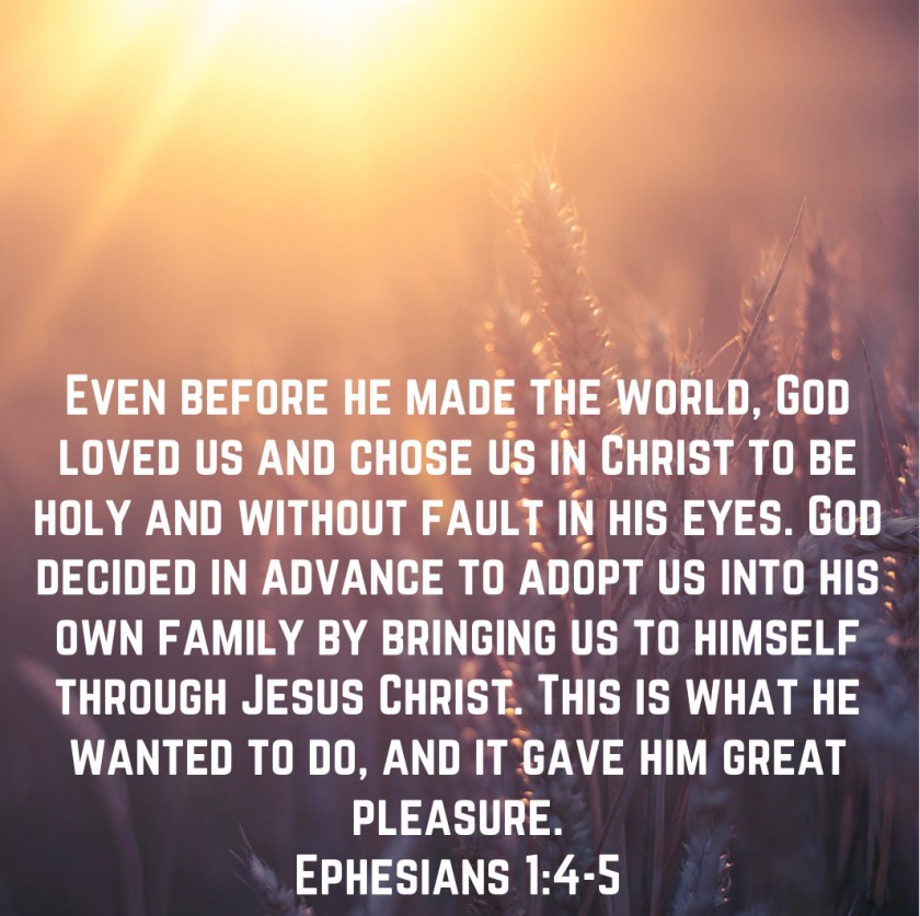 6EEE47C0-9BF9-4114-8BDA-0F1A254034BB