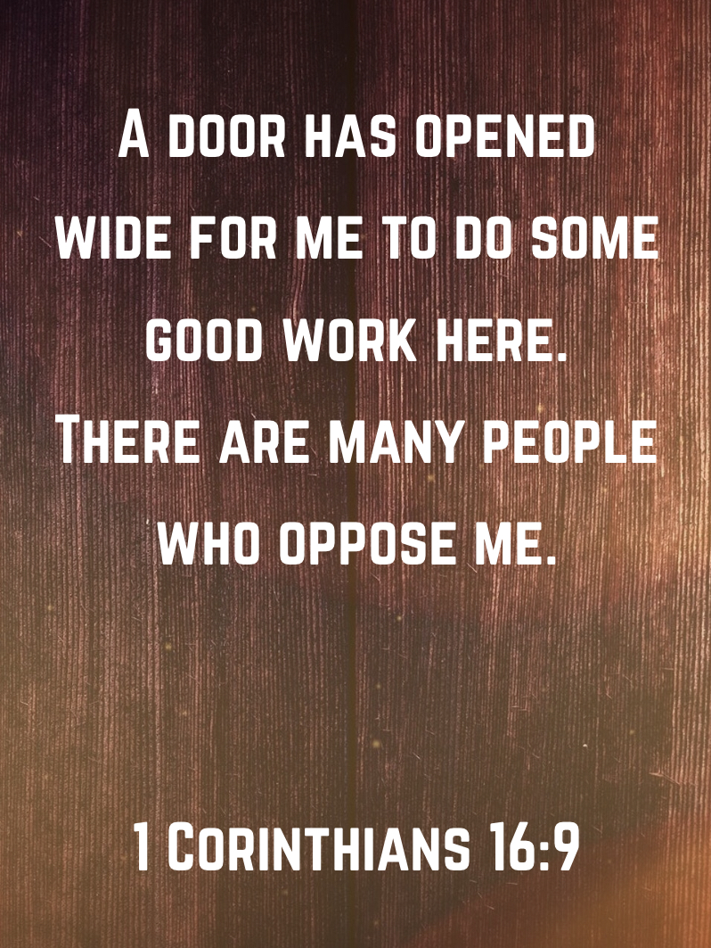 B2013E3C-BFF3-482B-8AD0-E3761FF811A3