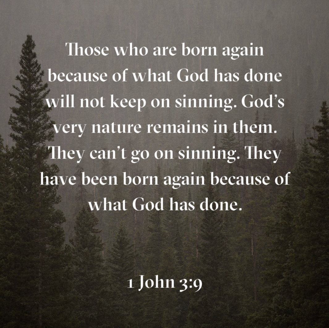 F569ECA5-D3EA-483F-9B45-67A21DE1755D